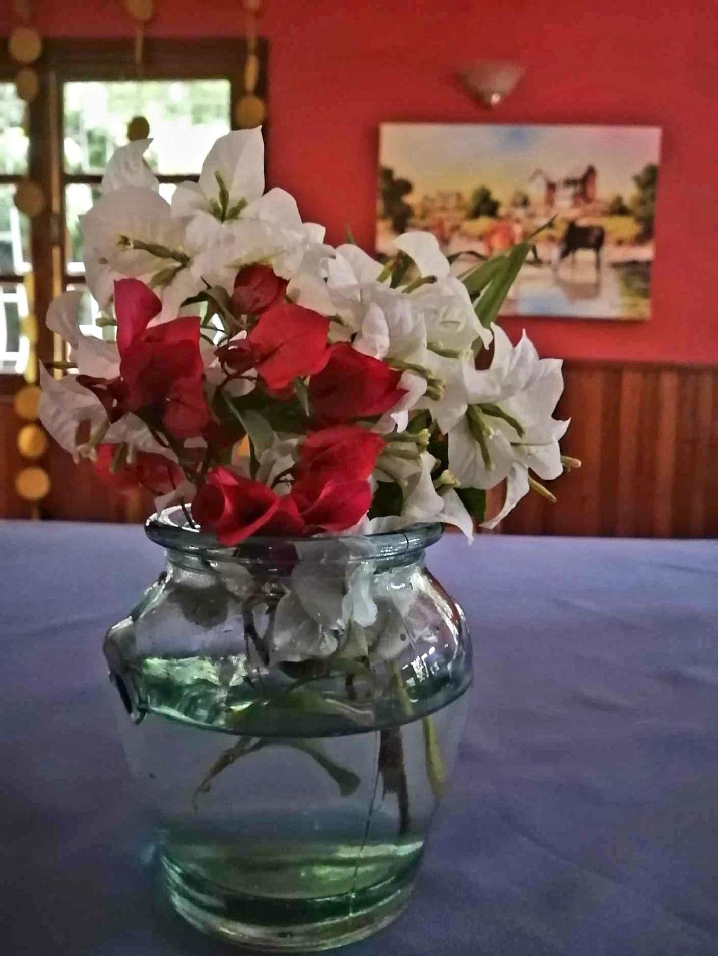 Badiane B&B, By L'anis Etoilé Antsirabe Extérieur photo